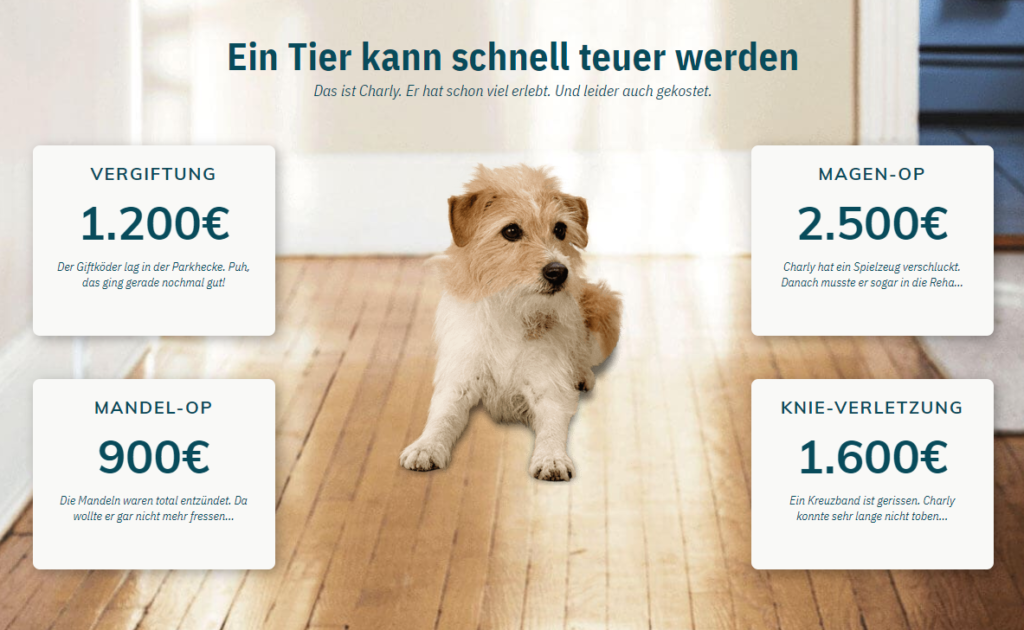 PetProtect Hund Versicherung Vergleich & Erfahrungen 05/2021